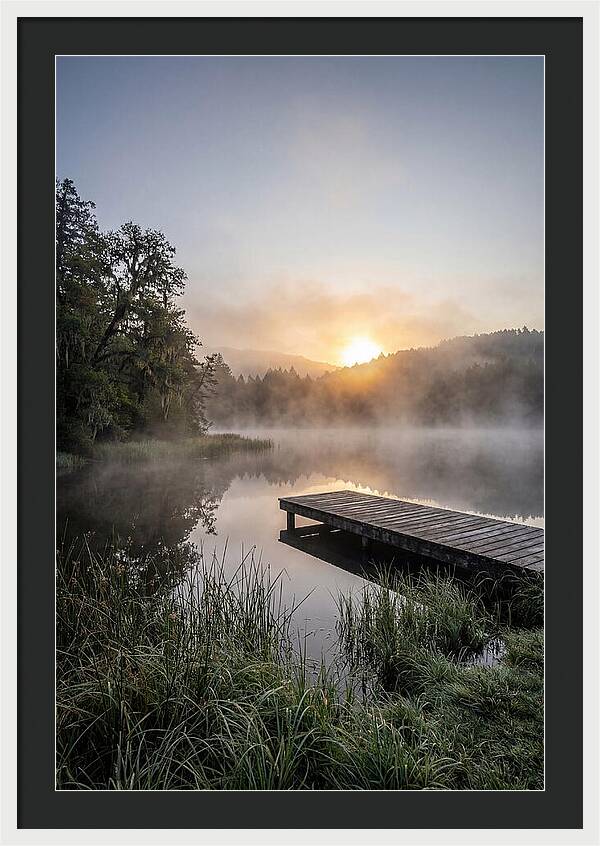 Misty Morning Serenity
