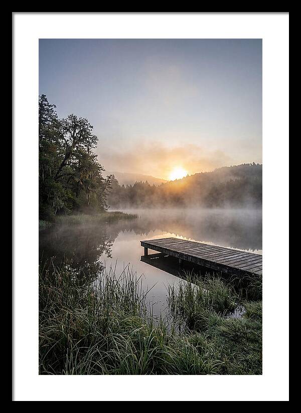 Misty Morning Serenity
