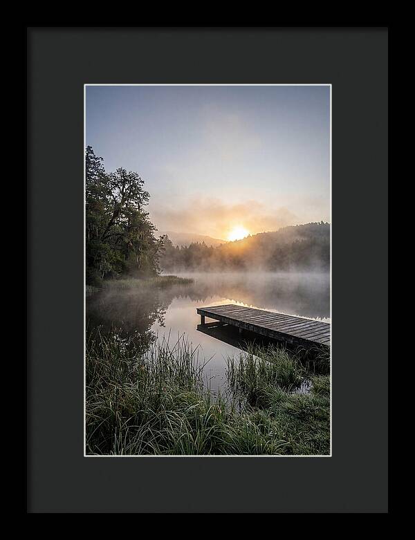 Misty Morning Serenity