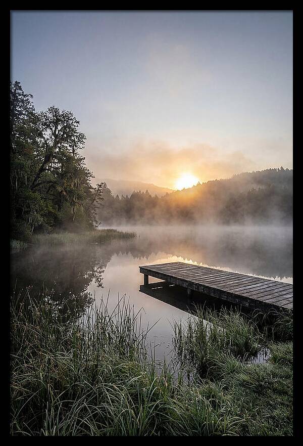 Misty Morning Serenity