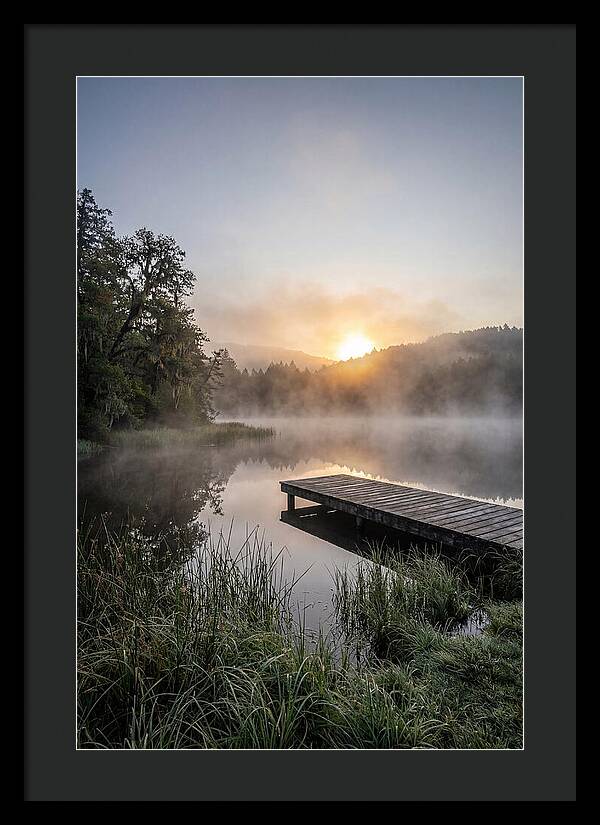 Misty Morning Serenity