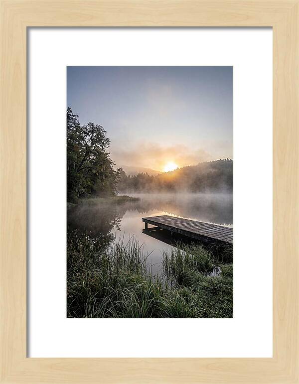 Misty Morning Serenity