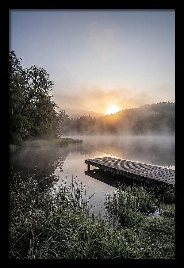 Misty Morning Serenity