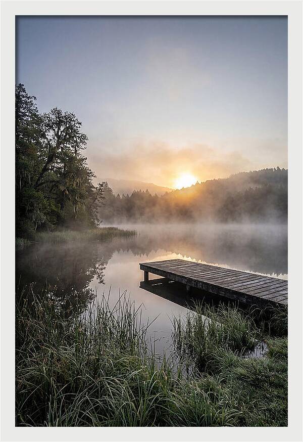 Misty Morning Serenity