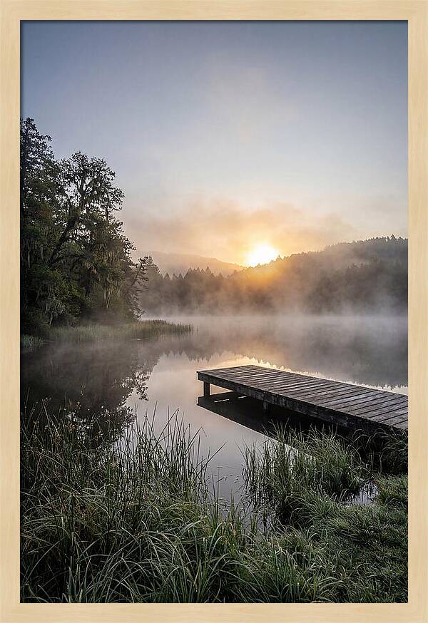 Misty Morning Serenity