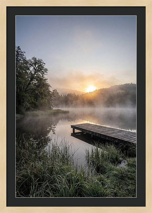 Misty Morning Serenity