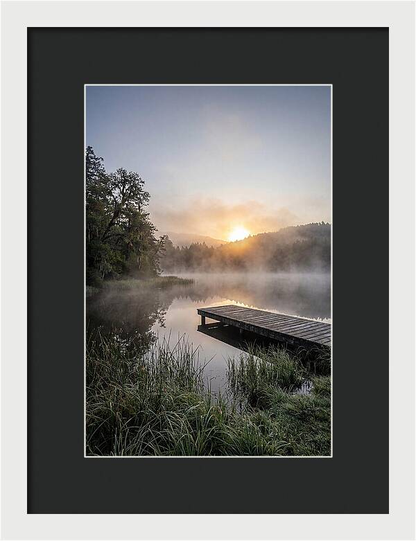 Misty Morning Serenity