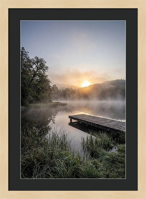Misty Morning Serenity