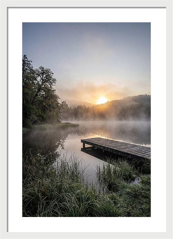 Misty Morning Serenity