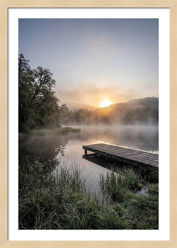Misty Morning Serenity