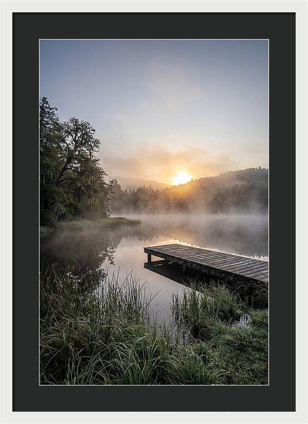 Misty Morning Serenity