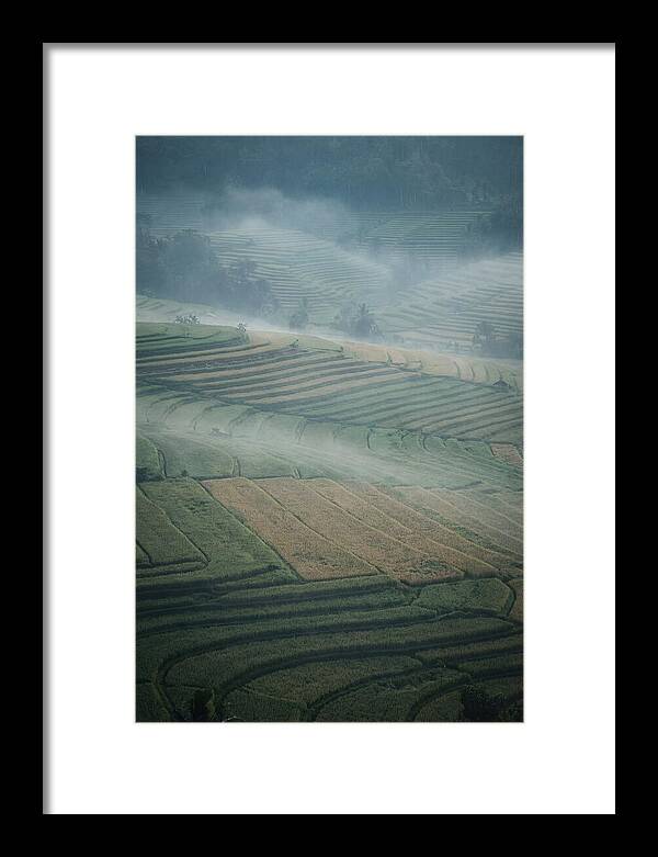Misty Serenity Over Tegalalang Rice Terraces