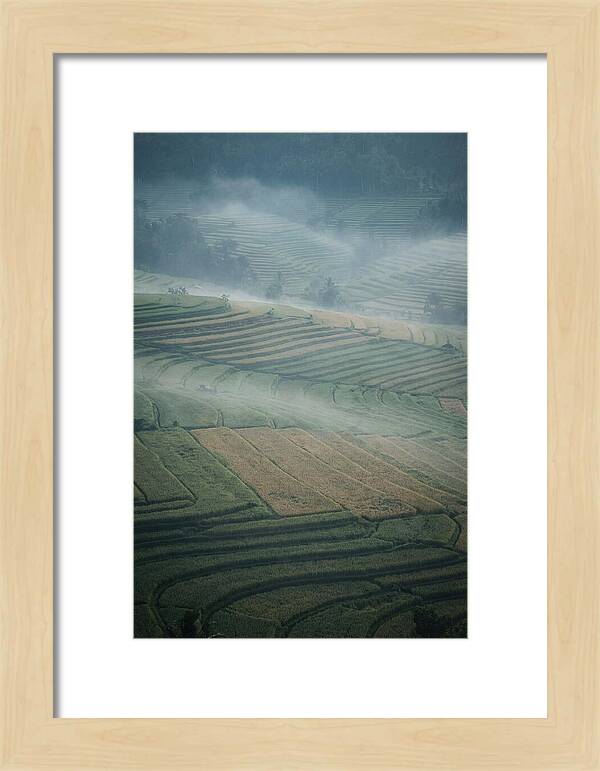 Misty Serenity Over Tegalalang Rice Terraces