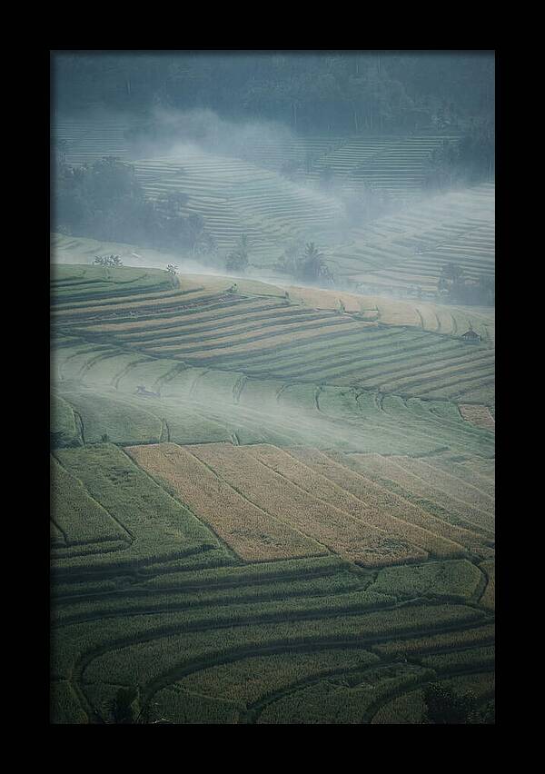 Misty Serenity Over Tegalalang Rice Terraces