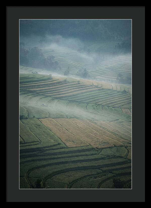 Misty Serenity Over Tegalalang Rice Terraces