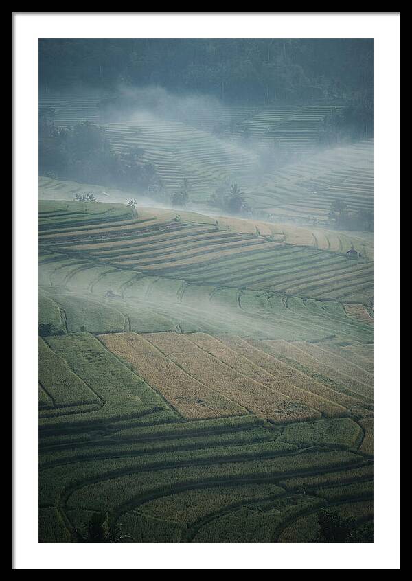 Misty Serenity Over Tegalalang Rice Terraces