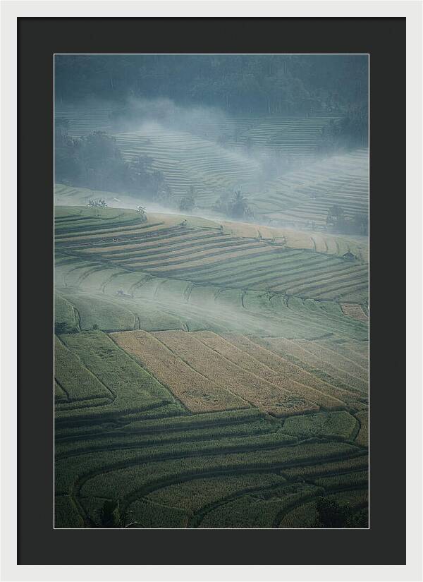 Misty Serenity Over Tegalalang Rice Terraces