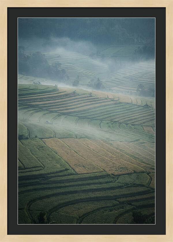 Misty Serenity Over Tegalalang Rice Terraces