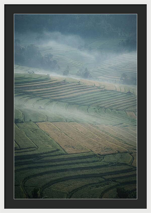 Misty Serenity Over Tegalalang Rice Terraces