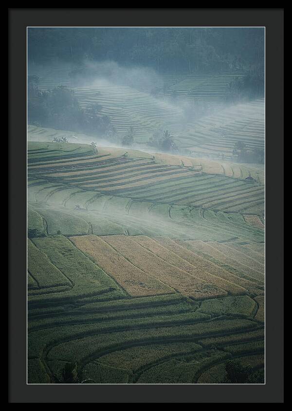 Misty Serenity Over Tegalalang Rice Terraces