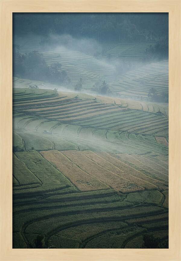 Misty Serenity Over Tegalalang Rice Terraces