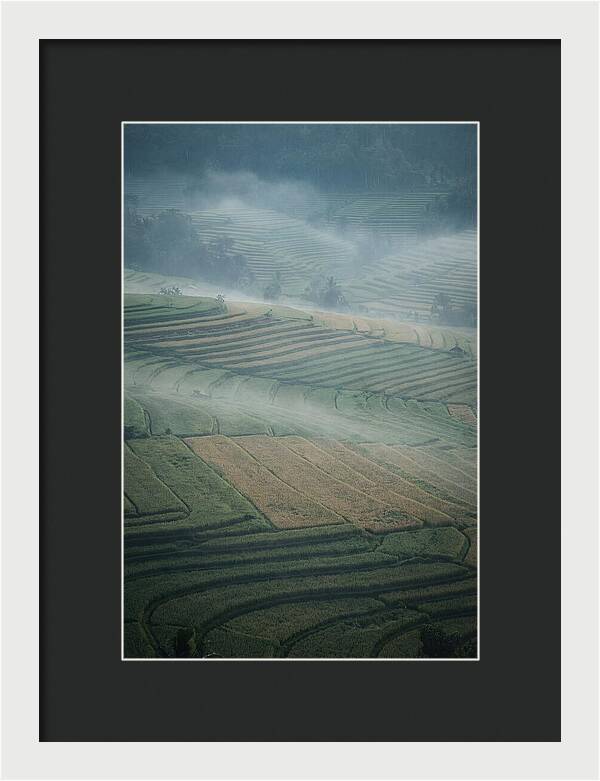 Misty Serenity Over Tegalalang Rice Terraces