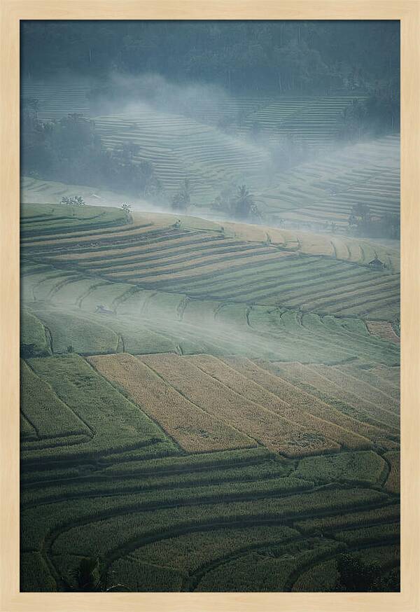 Misty Serenity Over Tegalalang Rice Terraces