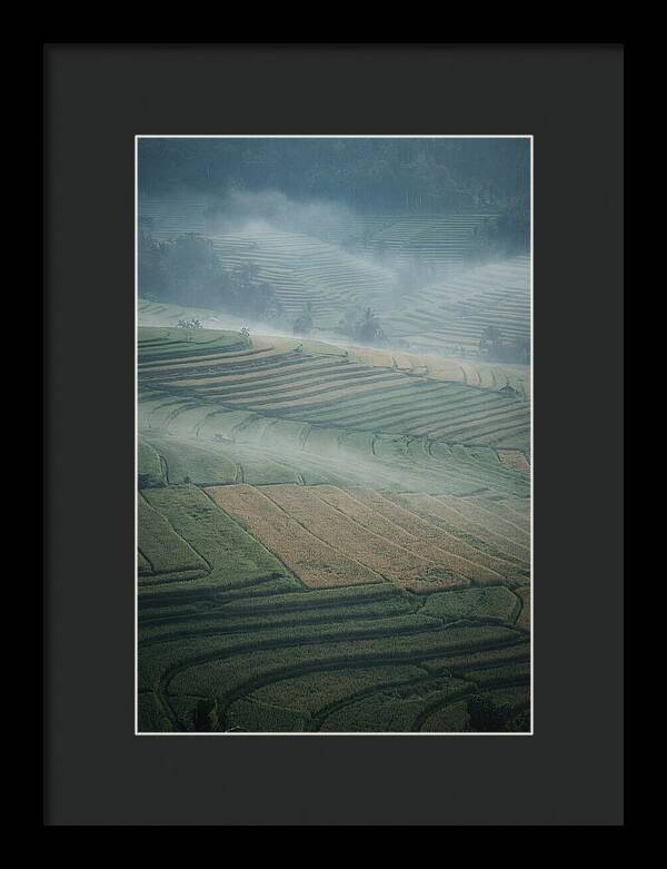 Misty Serenity Over Tegalalang Rice Terraces
