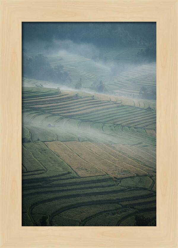 Misty Serenity Over Tegalalang Rice Terraces