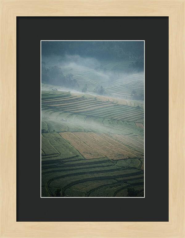Misty Serenity Over Tegalalang Rice Terraces