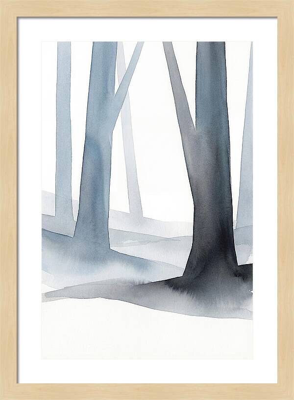 Misty Woodland Tranquility