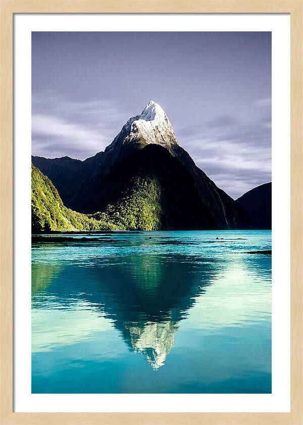 Mitre Peak Reflected In Milford Sound