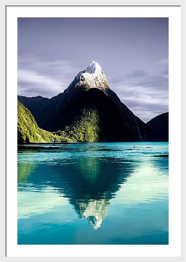 Mitre Peak Reflected In Milford Sound