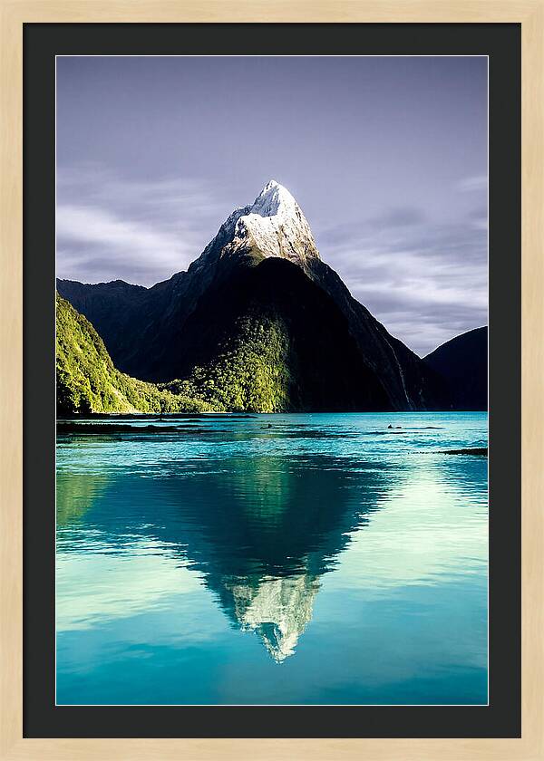 Mitre Peak Reflected In Milford Sound