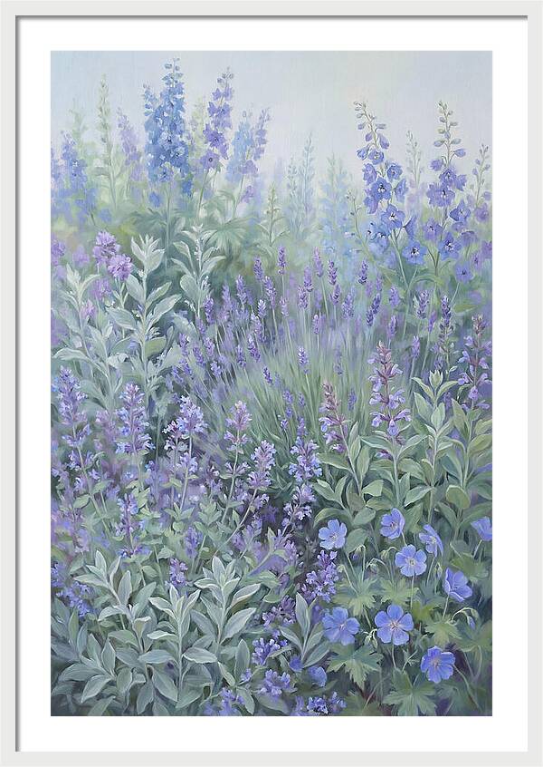 Mixed Perennial Border In Full Bloom