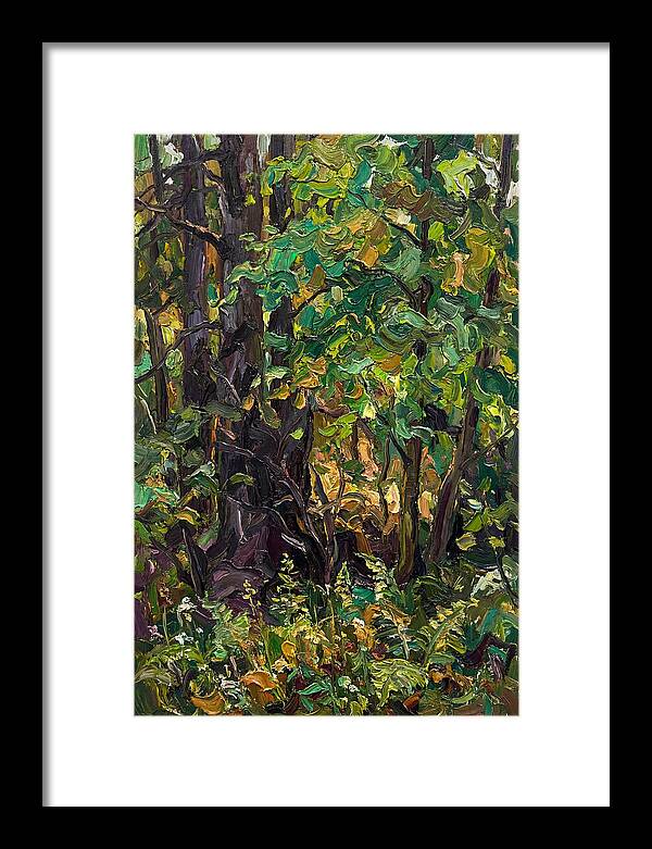 Mixed Woodland In Late Spring