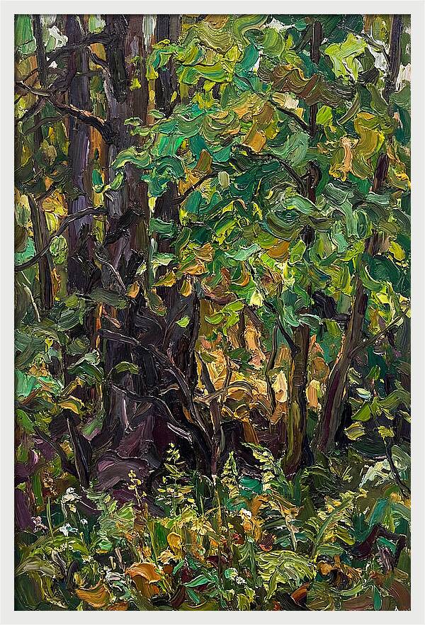 Mixed Woodland In Late Spring
