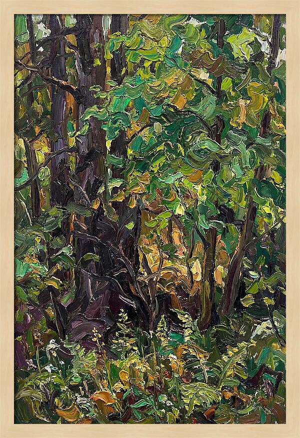 Mixed Woodland In Late Spring