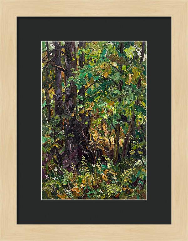 Mixed Woodland In Late Spring