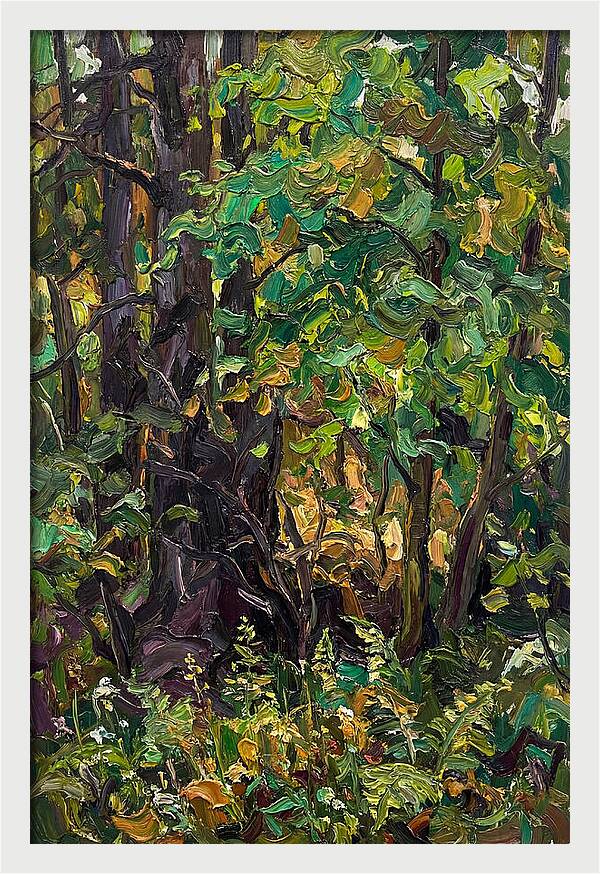 Mixed Woodland In Late Spring