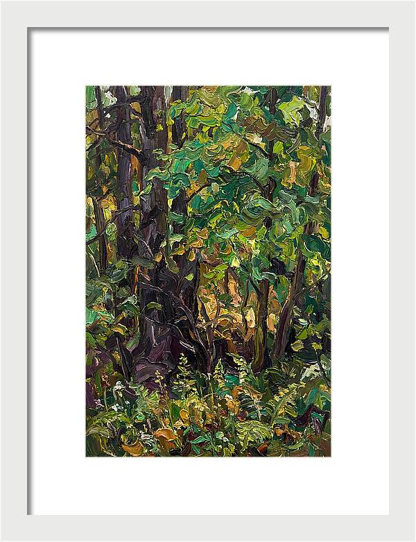 Mixed Woodland In Late Spring