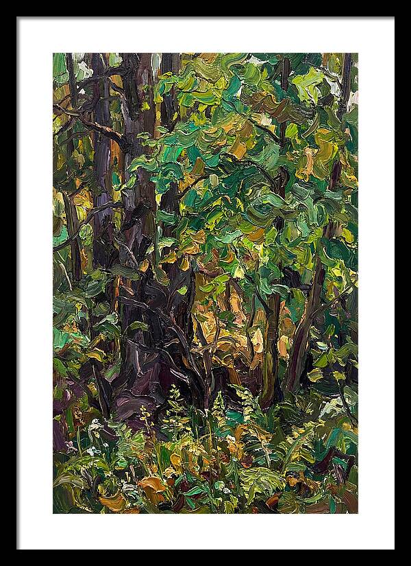Mixed Woodland In Late Spring