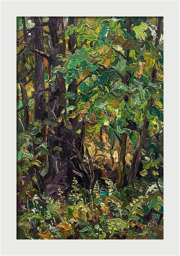 Mixed Woodland In Late Spring
