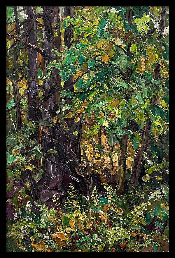 Mixed Woodland In Late Spring