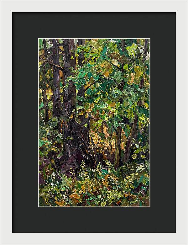 Mixed Woodland In Late Spring
