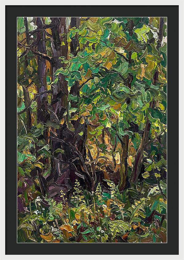 Mixed Woodland In Late Spring