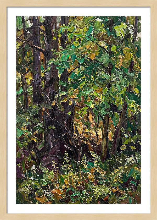 Mixed Woodland In Late Spring