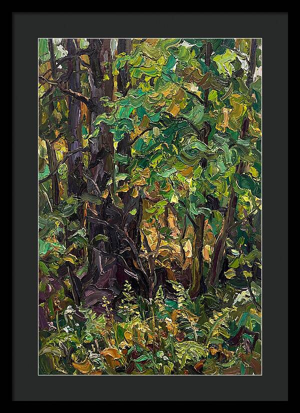 Mixed Woodland In Late Spring