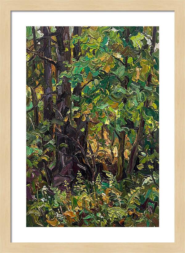 Mixed Woodland In Late Spring