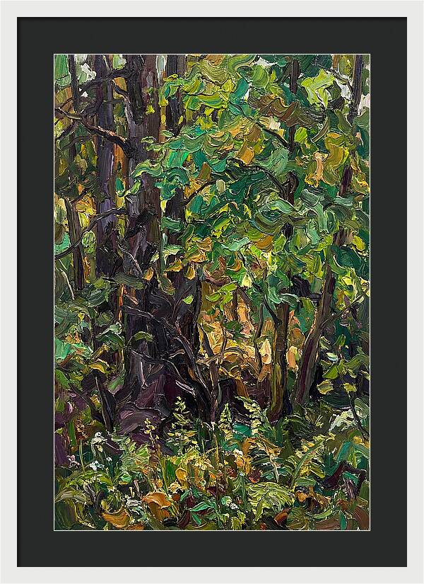 Mixed Woodland In Late Spring